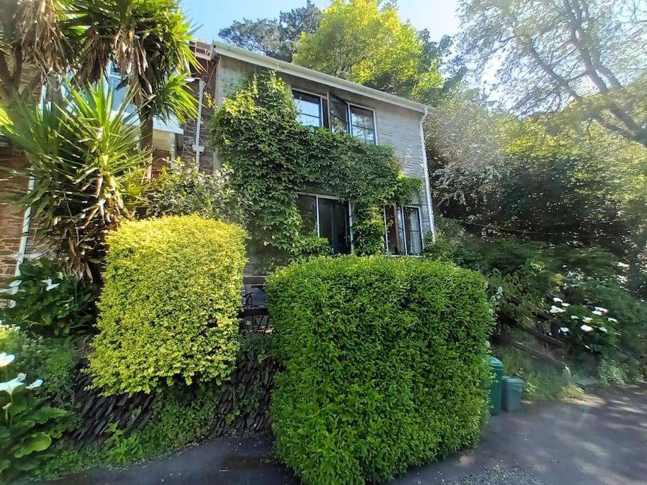 Treetop Cottage At Countisbury Lodge Lynmouth Exterior foto