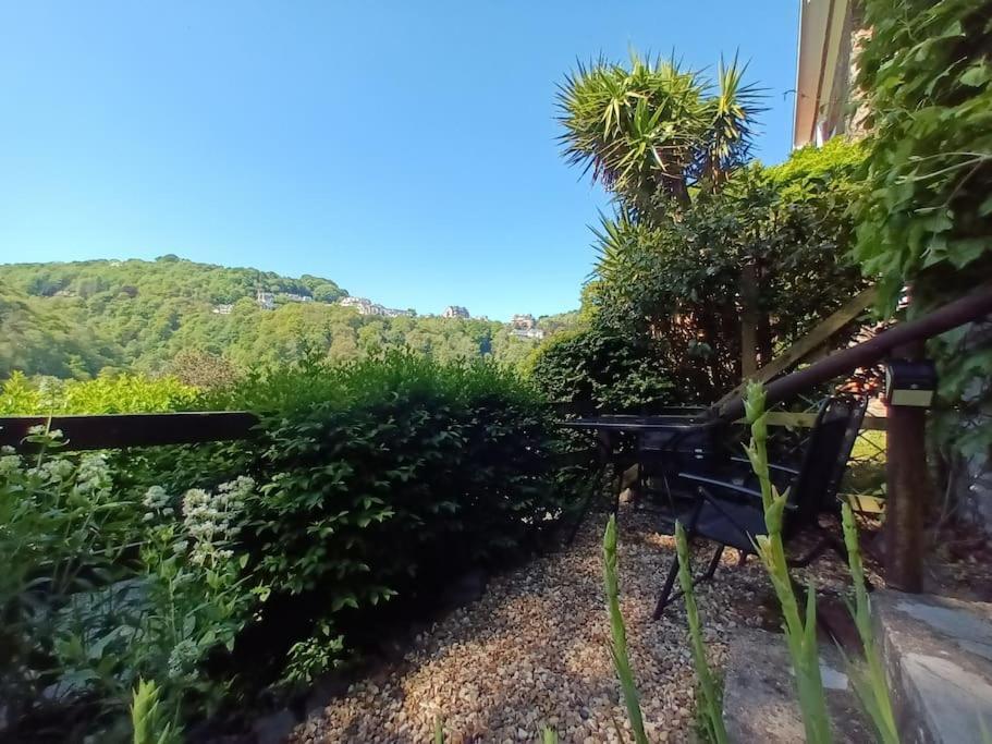 Treetop Cottage At Countisbury Lodge Lynmouth Exterior foto